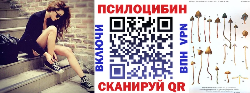 Галлюциногенные грибы Psilocybe  Купить где  Кушва 