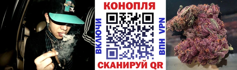 Купить где  Кушва  Канабис Amnesia 